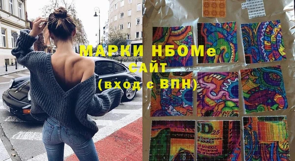 мдпв Абаза